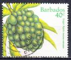 BARBADE - 1997 - Fruit -  Yvert 971 oblitr