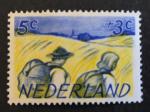 Pays-Bas 1949 - Y&T 505 neuf *