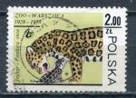 TIMBRE POLOGNE 1978 Obl  Faune  Panthre