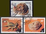 Srie de 3 TP oblitrs n 512/514(Yvert) Djibouti 1979 - Coquillages