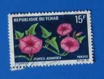 Tchad 1969 - Nr 182 - Fleurs Ipomea Aquatica  (Obl)