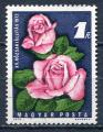 Timbre HONGRIE 1972  Obl  N 2233  Y&T  Roses