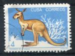 Timbre de CUBA 1964  Obl  N 771  Y&T  Kangourou