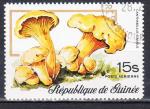 GUINEE - 1977 - Champignons  - Yvert PA 112 Oblitr