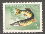 Hungary - Scott 1846    fish / poisson