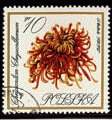 Pologne 1966 - YT 1546 - oblitr - chrysanthme