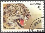 Kirgyzstan 1995 Y&T 31 oblitr Tigre