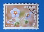 Djibouti 1979 - Nr 506 - Fleur Trichodesma (Obl)