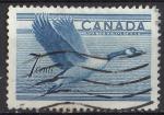 Canada 1952; Y&T n 255; 7c, faune oiseau, bernache du Canada