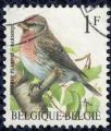 Belgique 1995 Oblitr Used Oiseau Carduelis Flammea Sizerin flamm
