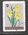 Bulgaria - Scott 1559  flower / fleur