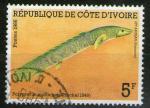 **  CTE d' IVOIRE   5 F  1986  YT-763  " Polypterus Endlicheri "  (o)  **