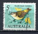 TIMBRE AUSTRALIE 1966 - 70    Obl     N 323    Y&T    Oiseaux