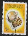 Comores   - 1962 - YT   n  22  oblitr  (