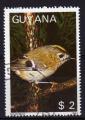 GUYANA N 1769 MD o Y&T 1987 Oiseau (Roitelet) 