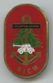 Insigne troupes de Marine , 3 /  RICM. /  Peleton BUONO - LIBAN 83