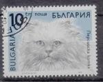 EUBG - 1989 - Yvert n 3289 - Chats :Persan (Felis silvestris catus)