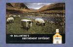 CPM publicit : Ballantine's Scotch Whisky ( mouton , Ecosse , Scotland )