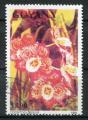 Timbre de GUYANA  1991  Obl   N 2685K  Y&T  Fleur Orchide