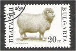 Bulgaria - Scott 3581  sheep / mouton