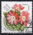 URSS N 4802 o Y&T 1981 Fleurs (Primula minima)