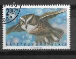 Bulgarie N 3496  faune rapaces nocturnes1992