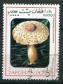 Timbre AFGHANISTAN 1999  Obl  N 1843 Mi. Champignons