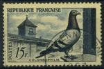 France : n 1091 oblitr anne 1957