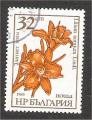 Bulgaria - Scott 3186  flower / fleur