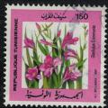 Tunisie 1987 glaeul oriental Fleurs Gladiolus communis Peinture Ali Bellagha SU