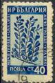 Bulgarie 1953 - Plante mdicinale : busserole, 40 cm - YT 779 