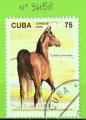 CHEVAUX - CUBA  N3458 OBLIT