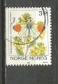 NORVEGE - oblitr/used - 1993 - n 1071