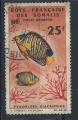 Cte des Somalis PA N 50 Obl (FU) Faune Marine (poissons) 1966