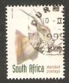 South Africa - Scott 1035   eland