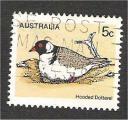 Australia - Scott 682  Bird / oiseau