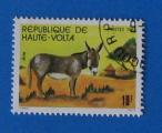 Haute-Volta 1981 - Nr 563 - Ane (Obl)