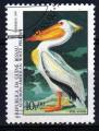 GUINEE BISSAU  N PA 85 o 1985 Oiseau (pelican blanc d'Amrique)