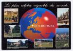 Carte Postale Moderne France - Bourgogne pays des grands crus, vignobles