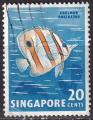 singapour - n° 58  obliteré - 1962/68