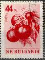 Bulgarie 1958 - Lgume : tomates, 44 cm - YT 940 