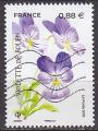 Timbre oblitr n 5321(Yvert) France 2019 - Fleurs, violette de Rouen