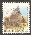 Belgium - Scott 1696   bird / oiseau