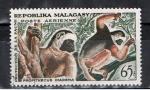 Madagascar / 1961 / Lmuriens / YT  PA n 84 oblitr