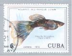 Cuba 1978  Y&T 2060    M 2305     Sc 2194    Gib 2462