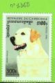 CHIENS - CAMBODGE N1365 OBLIT