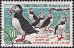 nY&T : 1274 - Macareux-moines (oiseaux) - Oblitr