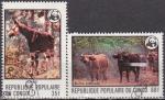 CONGO N° 499 et 500 de 1978 oblitérés Okapi et Buffle d'Afrique