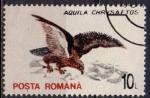 ROUMANIE N 4066 o Y&T 1993 Oiseaux (Aquila chrysaetos)