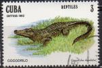 CUBA N 2371 o Y&T 1981 Faune reptile (crocodylus rhombifer)